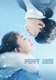 Puppy Love