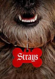 Strays