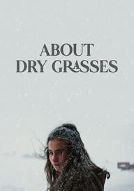 About Dry Grasses