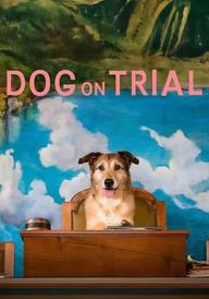 Dog on Trial