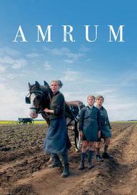 Amrum